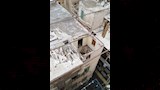 انهيار سقف عقار بالجمرك في الإسكندرية ١
