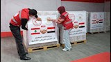 جانب من مساعدات الهلال الأحمر المصري الإنسانية إلى لبنان (3)