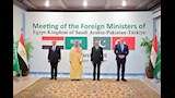 اجتماع رباعي لوزراء خارجية مصر والسعودية وتركيا وباكستان (3)