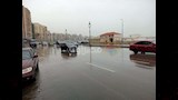 هطول أمطار على الإسكندرية (15)_16