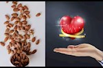 المكسرات والكوليسترول الضار- ماذا يحدث له عند تناول اللوز؟