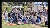 إقبال كثيف يملأ حدائق نمرة 6 بالإسماعيلية احتفالًا بشم النسيم -صور