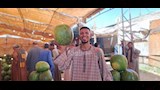 أسواق أسيوط تستقبل البطيخ الصيفي (19)
