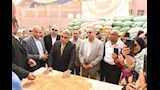محافظ الدقهلية يتابع توريد القمح بصوامع ميت غمر (3)