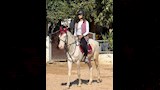 تارا عماد اثناء ممارسة رياضة ركوب الخيل (2)