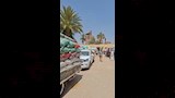 شاحنات القمح 