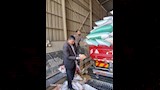 فحص جودة الأقماح بصوامع المنوفية