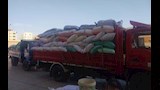 الأرقام بتزيد.. توريد 24 ألف طن قمح في المنوفية منذ بدء موسم الحصاد -صور