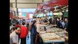 سوق الأسماك في بورسعيد ١