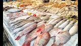 الشبار بـ80 جنيها.. أسعار الأسماك داخل السوق الحضاري في بورسعيد -فيديو وصور