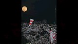الأهلي والزمالك (8) (1)