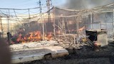 حريق المنيا 