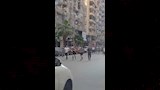 ماكرون يركض في شوارع الإسكندرية (2)