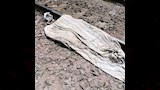 حادث قطار