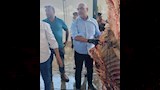 ضبط طن لحوم مذبوحة خارج المجازر (4)