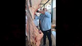 ضبط طن لحوم مذبوحة خارج المجازر (3)