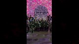 عقد قران ابن محمد رضوان بحضور نجوم الفن (2)