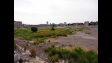 محافظ أسيوط يتفقد أرض مصنع الغزل والنسيج بالحمراء ويوجه بدراسة استغلال 36 ألف متر مربع (13)