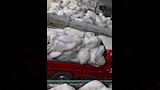 ضبط لحوم فاسده بالبحيره