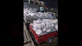 ضبط لحوم خلال حمله بالبحيره