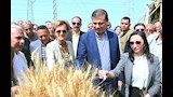 بالصور-  وزير الزراعة ووفد أوروبي يشهدان احتفالية ميكنة حصاد القمح بالبحيرة
