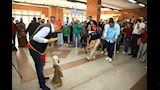 عروض فنية تُحول محطة مترو السيدة زينب إلى مسرح مفتوح