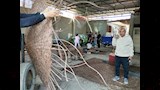 محافظ القليوبية يتابع تصوير المعالم السياحية (3)