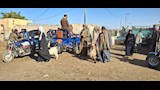 إقبال متوسط بأسواق مواشي أسيوط قبل عيد الأضحى (1)