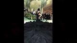 كاردي بي 