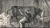 حريق مدينة بسبب بقرة