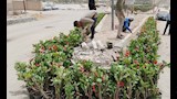 دير جبل الطير