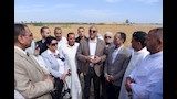 الإسكندرية تحتفل بموسم حصاد القمح بقرية فلسطين