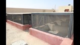 محافظ بني سويف يفتتح مركز التحصين والتعقيم 