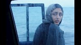 جولشيفته فراهاني (2)