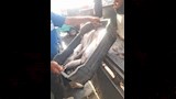 الاسماك الفاسدة خلال ضبطها
