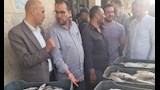 رائحتها كشفتها.. ضبط طن ونصف أسماك بوري "متعفنة" قبل ترويجها في كفر الشيخ -صور