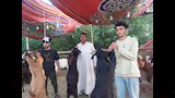 سوق الأضاحي