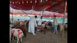 الترقيم