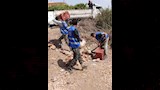 التحفظ على الدجاجم