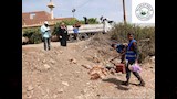 استدعاء الطب البيطري