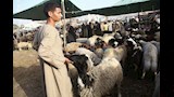 حكايات لا تنتهي