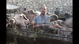 حركة بيع قبل العيد