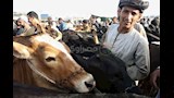 بائع ينتظر الزبائن