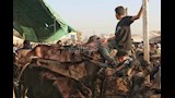مواشي العيد