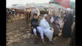 مفاوضات بين التجار