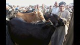 زحمة السوق والرزق على الله