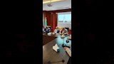 قصر العيني يستعد للمئوية الثانية (4)