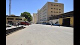 توريد القمح (1)