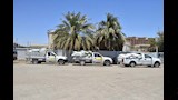 توريد القمح (8)