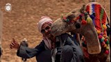 اتحاد العاصمة يغازل مصر (3)